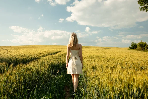 Krásná Blondýnka Dívka Pšeničném Poli Západu Slunce — Stock fotografie