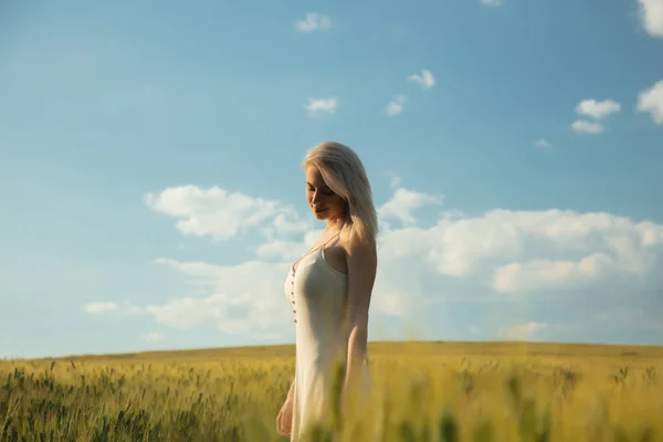 美しいですブロンド女の子で小麦畑で日没時間 — ストック写真