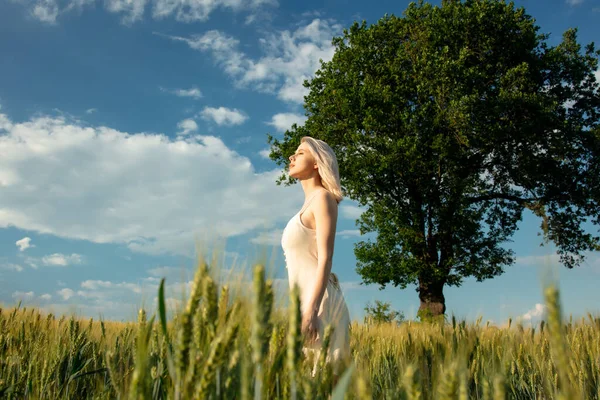 Mooi Blond Meisje Tarwe Veld Zonsondergang Tijd — Stockfoto