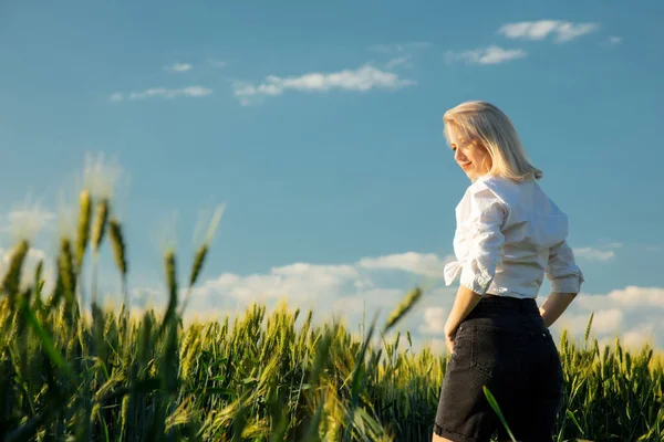 Красива Блондинка Пшеничному Полі Під Час Заходу Сонця — стокове фото