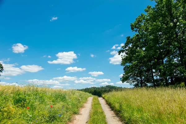 Vista Sulla Strada Campagna Con Nuvole Sullo Sfondo Nella Polonia — Foto Stock