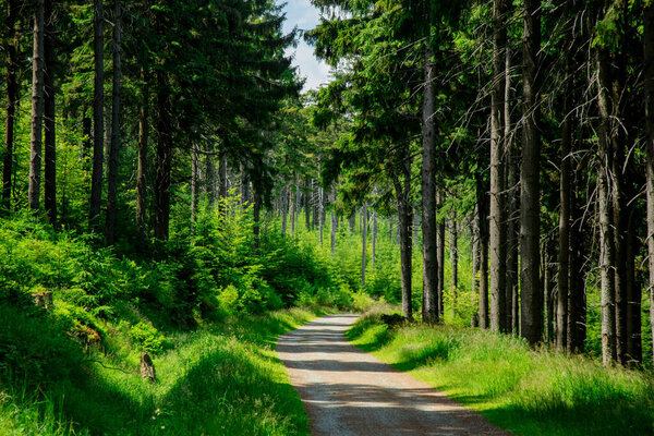 Country road in Sudetes mountains, Poland 