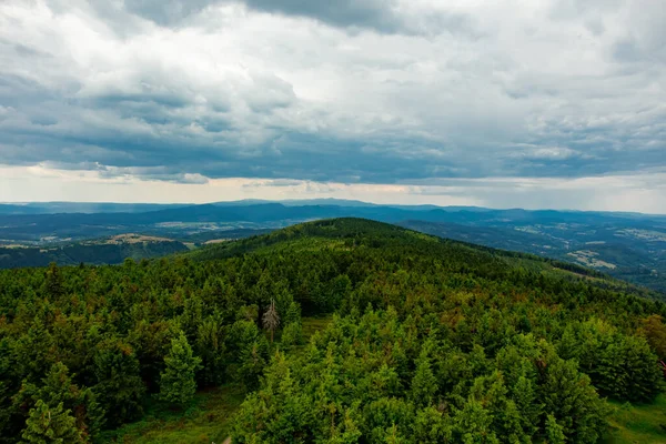 Zöld Erdő Szudétai Hegyekben Lengyelország — Stock Fotó