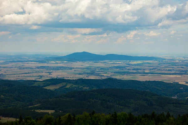 Grüner Wald Den Bergen Der Sudeten Polen — Stockfoto