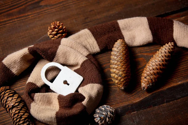 White Lock Scarf Pine Tree Cones Wooden Table — Stock Photo, Image