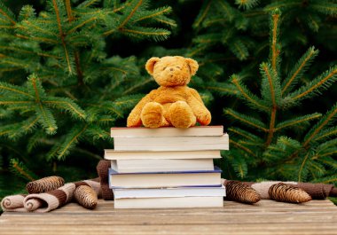 Küçük oyuncak ayıcık ve arka planda ladin dalları olan ahşap masadaki kitaplar.