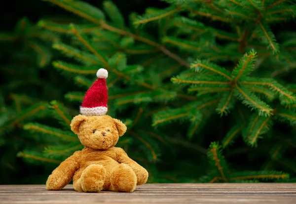 Mały Miś Zabawki Boże Narodzenie Kapelusz Drewnianym Stole Gałązek Świerkowych — Zdjęcie stockowe