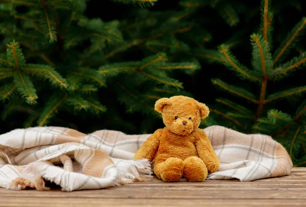 Little Teddy Bear Toy Scarf Wooden Table Spruce Branches Background — Stock Photo, Image