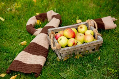 Sepette elmalar ve bahçede yeşil çimlerin üzerinde eşarp.