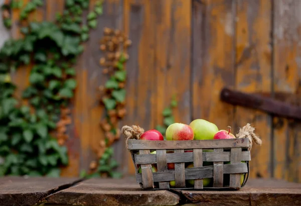 Apples Basket Table Garden — Stock Photo, Image