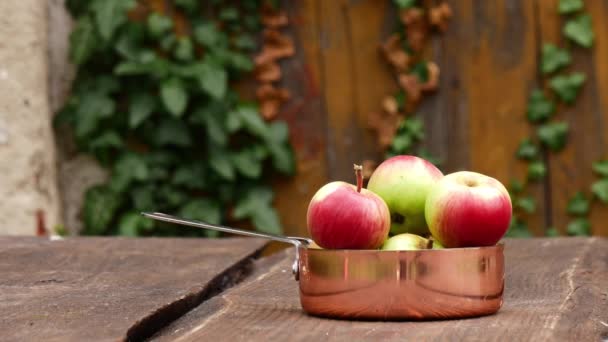 Pommes Dans Une Casserole Sur Table Dans Jardin — Video