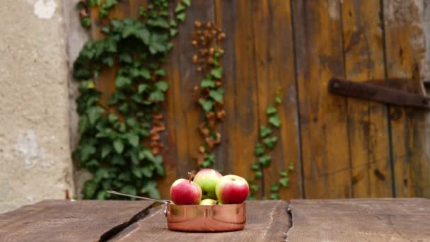 Bahçedeki Bir Masada Elmalar — Stok video