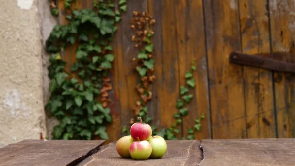 Appels Een Tafel Een Tuin — Stockvideo