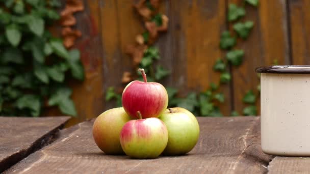 Appels Een Tafel Een Tuin — Stockvideo