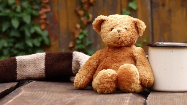 小泰迪熊玩具和木桌上的咖啡 — 图库视频影像
