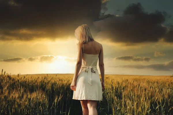Блондинка Пшеничном Поле Закате — стоковое фото