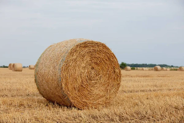 Pajar Enrollado Campo — Foto de Stock