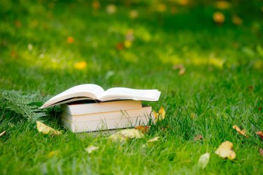 Sonbaharda yeşil çimlerin üzerinde bir yığın kitap