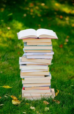 Sonbaharda yeşil çimlerin üzerinde bir yığın kitap