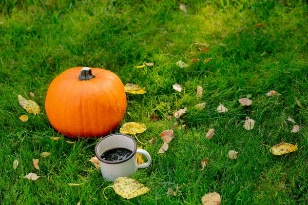 Rijpe Pompoen Een Kop Koffie Het Groene Gras — Stockfoto