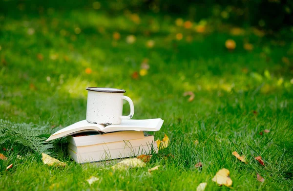 Stack Books Cup Coffee Green Grass Autumn — Stock Photo, Image