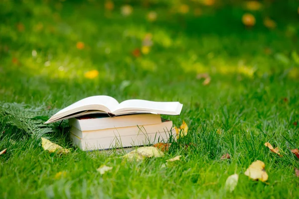 Bunt Böcker Det Gröna Gräset Hösten — Stockfoto