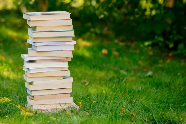 Bücherstapel Auf Dem Grünen Rasen Herbst — Stockfoto