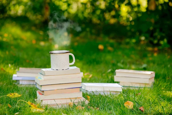 秋天的时候 一堆堆书和一杯咖啡放在绿草上 — 图库照片
