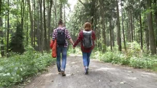 Młoda Para Spacerująca Lesie Górach — Wideo stockowe