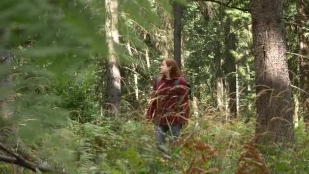Rothaarige Mädchen Verirrte Sich Den Wald — Stockvideo
