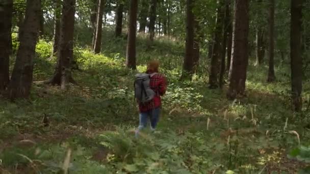 Meisje Met Een Rugzak Loopt Door Het Bos — Stockvideo