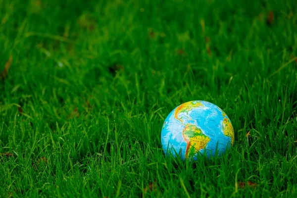 Globo Tierra Sobre Hierba Verde Con Hojas Otoño —  Fotos de Stock