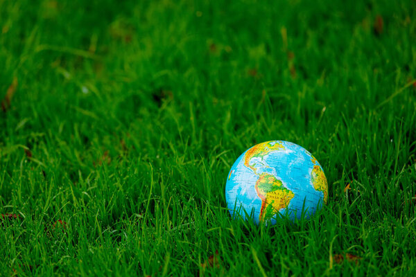 Earth globe on green grass with autumn leaves 