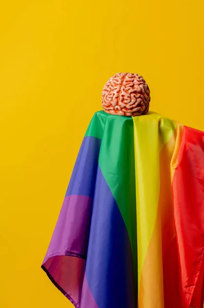 Cerebro Humano Bandera Lgbt Sobre Fondo Amarillo —  Fotos de Stock