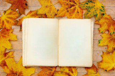Sarı akçaağaç yapraklı eski bir kitap.. 