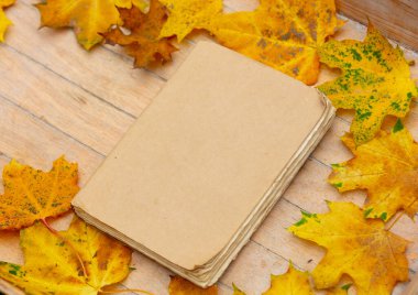 Sarı akçaağaç yapraklı eski bir kitap.. 