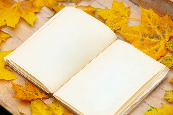 Libro Viejo Sobre Una Mesa Con Hojas Arce Amarillo Alrededor — Foto de Stock