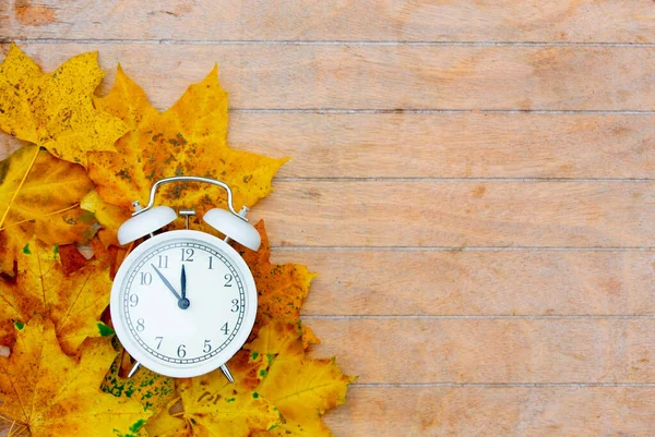 시계와 단풍나무 — 스톡 사진