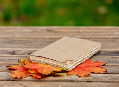 Klasik kitap ve akçaağaç yaprakları bahçede bir masanın üzerinde.