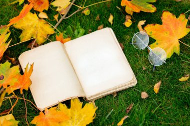 Bahçedeki yeşil çimlerin üzerinde akçaağaç yapraklı klasik kitap ve bardaklar.