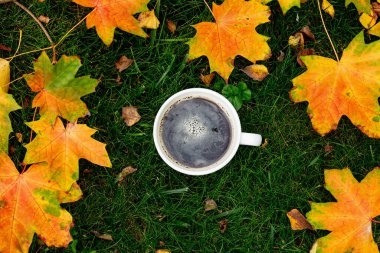 Bahçedeki yeşil çimlerin üzerinde bir fincan kahve ve akçaağaç yaprağı. 