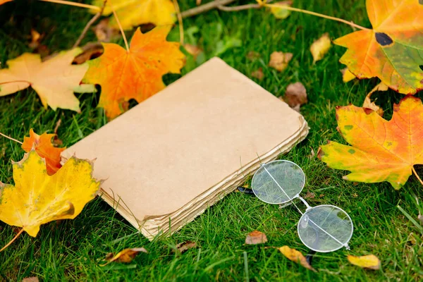 Vintage Book Glasses Maple Leaves Green Grass Garden — Stock Photo, Image