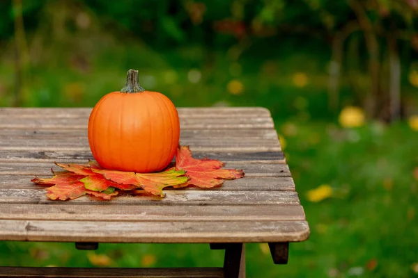 Calabaza Con Hojas Arce Una Mesa Jardín — Foto de Stock