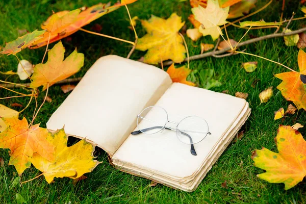 庭の緑の草の上にメープルの葉を持つヴィンテージ本と眼鏡 — ストック写真