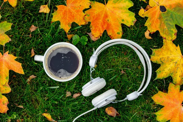 Чашка Кофе Наушники Кленовыми Листьями Зеленой Траве Саду — стоковое фото