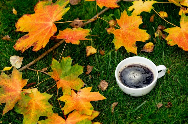 Bahçedeki Yeşil Çimlerin Üzerinde Bir Fincan Kahve Akçaağaç Yaprağı — Stok fotoğraf