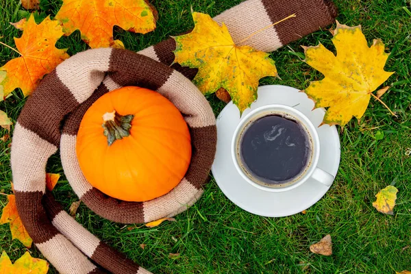 Tasse Kaffee Schal Und Kürbis Mit Ahornblättern Auf Grünem Gras — Stockfoto