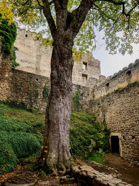 Veduta Sulle Rovine Medievali Del Castello Nella Bassa Slesia Polonia — Foto Stock