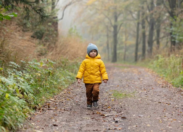Kleiner Junge Gelber Jacke Bleibt Allein Wald Polen — Stockfoto