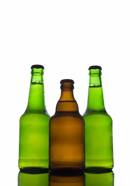 Paio Bottiglie Birra Bianco — Foto Stock